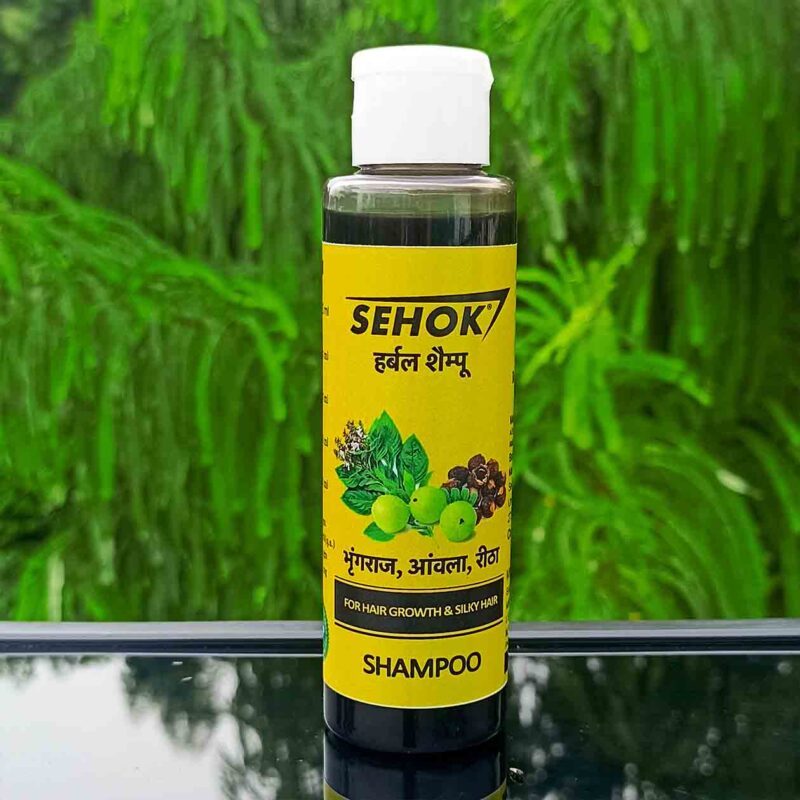 Top 5 Shampoo